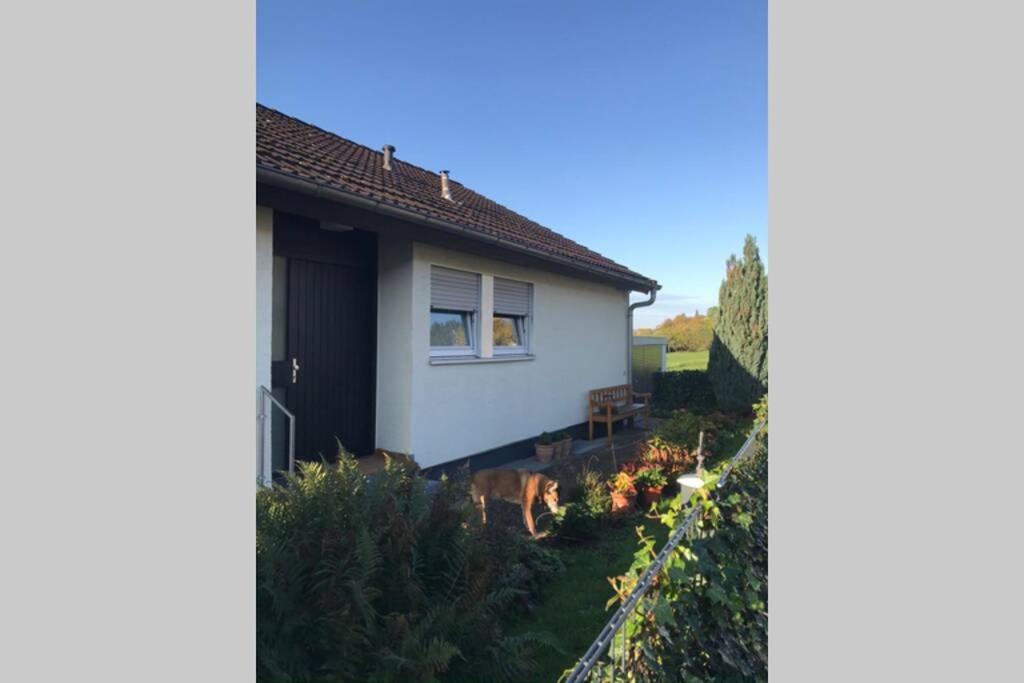 Appartement Region Esslingen - Naehe Messe - Flughafen - Stuttgart - Wohnen Und Arbeiten Auf Zeit In 120M2 Wohlfuehlatmosphaere - Ab 3 Uebernachtungen - Geeignet Fuer 4 Pers Incl Kinder - Beistellbett Moeglich - Kinder Und Tiere Willkommen - Garage F Altbach Ngoại thất bức ảnh